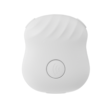 PocketTalk AI Learning Companion